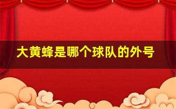 大黄蜂是哪个球队的外号