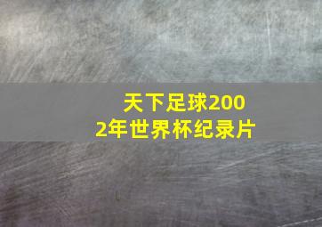 天下足球2002年世界杯纪录片