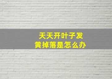 天天开叶子发黄掉落是怎么办