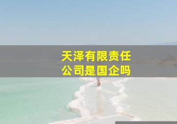 天泽有限责任公司是国企吗