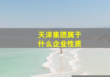 天泽集团属于什么企业性质