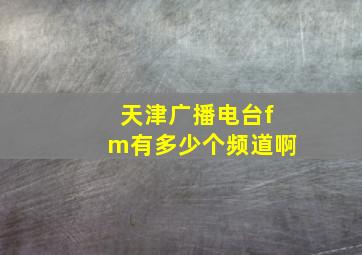 天津广播电台fm有多少个频道啊