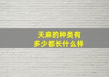 天麻的种类有多少都长什么样