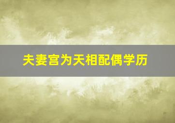 夫妻宫为天相配偶学历