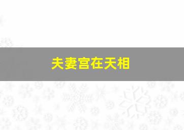 夫妻宫在天相