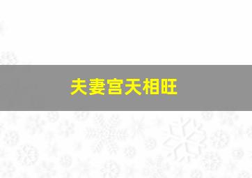 夫妻宫天相旺