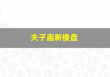 夫子庙新楼盘