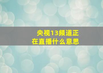 央视13频道正在直播什么意思