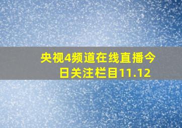 央视4频道在线直播今日关注栏目11.12