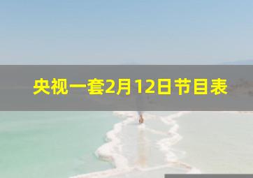 央视一套2月12日节目表