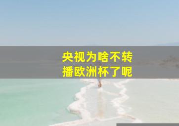 央视为啥不转播欧洲杯了呢