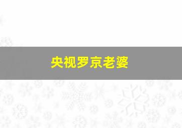 央视罗京老婆