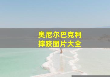 奥尼尔巴克利摔跤图片大全