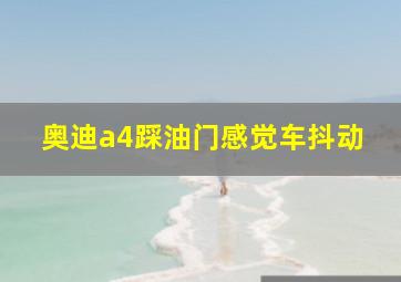 奥迪a4踩油门感觉车抖动