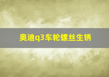 奥迪q3车轮螺丝生锈