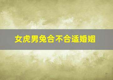 女虎男兔合不合适婚姻