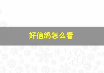 好信鸽怎么看