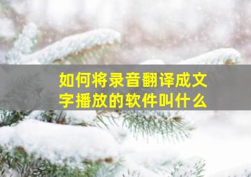 如何将录音翻译成文字播放的软件叫什么