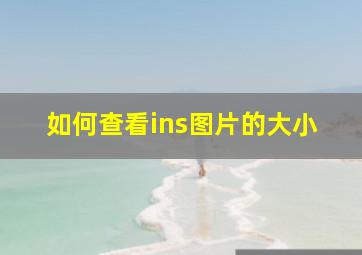 如何查看ins图片的大小