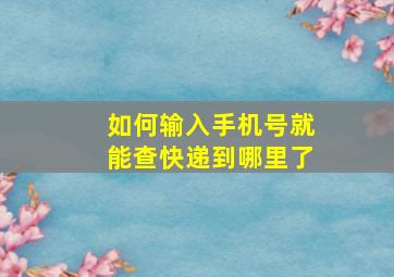 如何输入手机号就能查快递到哪里了