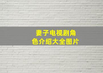 妻子电视剧角色介绍大全图片