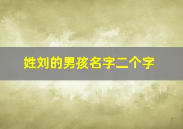 姓刘的男孩名字二个字