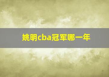 姚明cba冠军哪一年