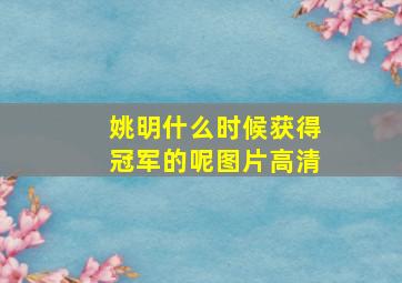 姚明什么时候获得冠军的呢图片高清