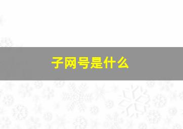 子网号是什么