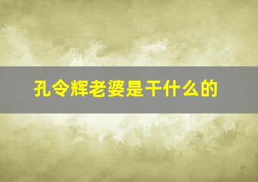 孔令辉老婆是干什么的