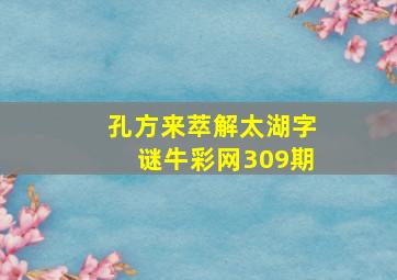 孔方来萃解太湖字谜牛彩网309期