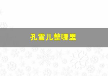 孔雪儿整哪里