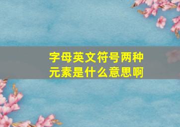 字母英文符号两种元素是什么意思啊