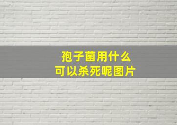 孢子菌用什么可以杀死呢图片