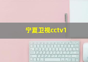 宁夏卫视cctv1