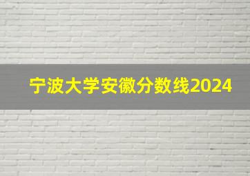 宁波大学安徽分数线2024