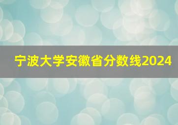 宁波大学安徽省分数线2024