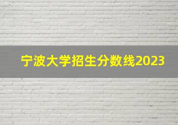 宁波大学招生分数线2023