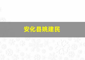 安化县姚建民