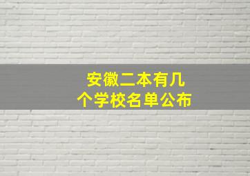 安徽二本有几个学校名单公布