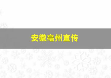 安徽亳州宣传