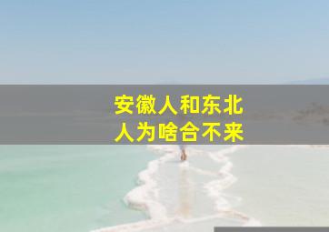 安徽人和东北人为啥合不来