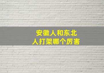 安徽人和东北人打架哪个厉害