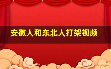 安徽人和东北人打架视频