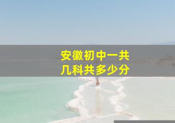 安徽初中一共几科共多少分