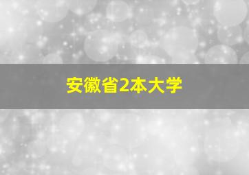 安徽省2本大学