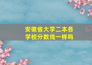 安徽省大学二本各学校分数线一样吗