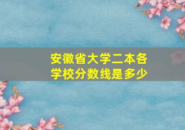 安徽省大学二本各学校分数线是多少