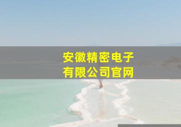 安徽精密电子有限公司官网