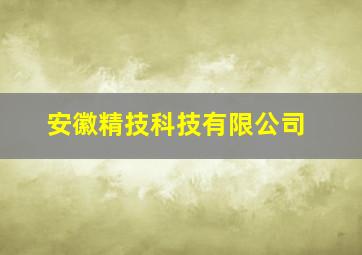 安徽精技科技有限公司